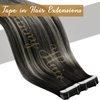 Sunny Hair Tape in Extensions Black Ombre Tape in Hair Extensions Human Hair Natural Black Ombre Silver Grey Balayage Tape in Human Hair Extensions Black Ombre Hair Extensions Tape in 16inch 50g 20pcs