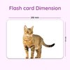 hungry brain Flash Cards for Toddlers, 24 Domestic Animals Flashcards, Double-Sided, Montessori, Educational, Kindergarten - Preschool Learning Activities, Gifts for Kids, 1, 2, 3, 4 Years Babies