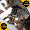 Cat Toy Cigar, Catnip Toys for Cats of All Breeds, Cat Toys for Indoor Cats, Kitten Toys, Action Themed Fun for Kicking, Biting, Chewing (Brown, 1-Pack)