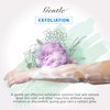 Spongentle Premium Deep Cleansing Loofah Sponge for Radiant Skin, Pack of 4, Bath and Shower, Exfoliating Body Scrubber, Beautiful Colors for Women and Men