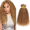 26 28 30 Inch Honey Blonde Bundles Color #27 Kinky Curly Human Hair Bundles Brazilian Unprocessed Virgin Hair Color #27 Bundles Human Hair Honey Blonde Curly Bundles Hair Weave Blonde Bundles