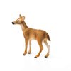 Schleich Wild Life, Animal Figurine, Animal Toys for Boys and Girls 3-8 Years Old, White-Tailed Doe, Ages 3+