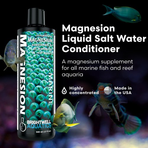Brightwell Aquatics Magnesion Liquid Salt Water Conditioner - Concentrated Magnesium Supplement For Reef and Marine Aquariums, 16.9 fl oz