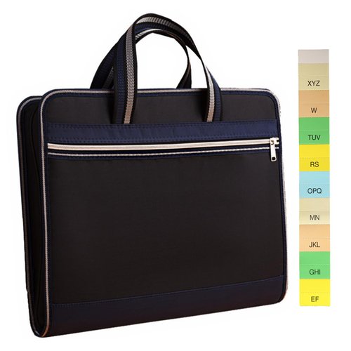 BTFLKNS Canvas Expanding Files Organizer, Waterproof Accordion File Organizer with Color Labels, A4 Size,13 Pockets File Folders with Handle, Business Document Bag Briefcase Waterproof Fabric(Black)