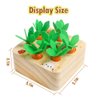 Skrtuan Montessori Toys for Babies 6-12 Months, Wooden Toys for 1 2 3 Year Old Toddlers, Educational Carrot Harvest Shape Sorting Matching Puzzle, Developmental Birthday Gifts for Boys and Girls