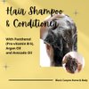 Black Canyon Campfire & Marshmallow Scented Argan Oil Hair Shampoo and Conditioner Set, 16 Oz