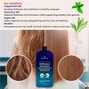 Peppermint Rosemary Hair Regrowth Shampoo - Anti Hair Loss product, Daily Hydrating, Detoxifying, Volumizing Shampoo and Fights Dandruff For Men and Women 16 fl oz