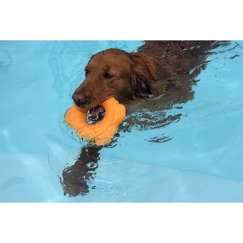 HERO PlayTime Durable Foam Floating Widget, Small, Orange Dog Toy