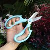 Jasni Garden Pruning Shears Scissors with Comfort Grip Handle, Premium Steel Professional Floral Scissors, Perfect for Arranging Flowers, Pruning, Trimming Plants, Gardening Tool (Blue)