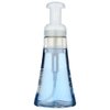Method Hand Wash Foam 10 Oz Sea Minerals