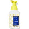 Bath and Body Works Sweet Tea & Lemonade Gentle Foaming Hand Soap 8.75 Ounce (Sweet Tea & Lemonade)