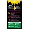 Garnier Olia Oil Powered Permanent Hair Color, 6.0 Light Brown (Packaging May Vary)