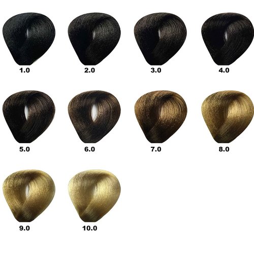 BES Hi-Fi Hair Color with Vegetable Liposomes 6.0 Dark Blonde