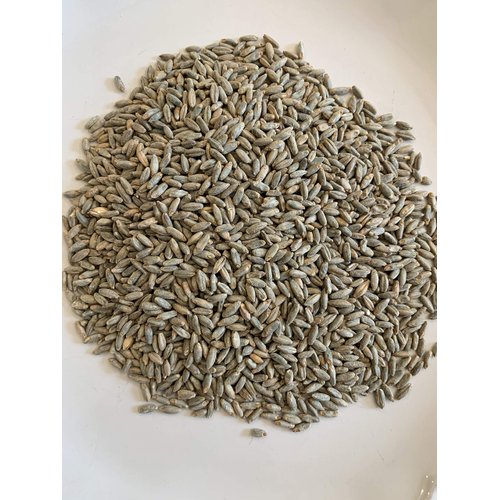 North Georgia Still Company's Fermentation Kit for Moonshine, Corn, Malted Wheat & Rye Whiskey, DIY 5 Gallon Mash Kit