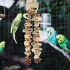 LOGOFUN Bird Parrot Toys Natural Wood Chewing Toy with Pinecone Bird Cage Bite Toy for Small Parakeets Cockatiels Conures Finches Budgie Parrots Love Birds