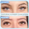 PHKERATA Natural Lash Clusters Wispy Eyelash Clusters 110 pcs Cluster Eyelash Extensions C Curl Individual Lashes 10-16 mm Mix Length Natural Look Lashes Clusters with Thin Lash Band