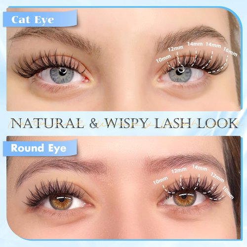 PHKERATA Natural Lash Clusters Wispy Eyelash Clusters 110 pcs Cluster Eyelash Extensions C Curl Individual Lashes 10-16 mm Mix Length Natural Look Lashes Clusters with Thin Lash Band