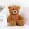 Tezituor Small Teddy Bear Stuffed Animals 18inch, Cute Little Teddy Bear Plush Toys for Kid Girl Boy (Brown)