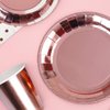 Rose Gold Party Supplies (Rose Gold Party Supplies (16 serves))