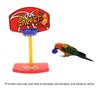 Fsocpen Parrot Intellective Mini Basketball Rack Training Toy,Birdie Basketball Bird Toy,Bird Chew Ball Foraging Toys, Parrot Activity Toys, Bird Training Gym Toys