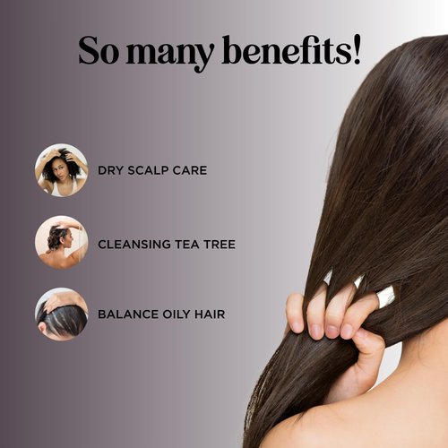Tea Tree Shampoo for Oily Hair - Paraben and Sulfate Free Clarifying Shampoo for Build Up and Dry Scalp with Tea Tree Oil for Hair - Purifying Aromatherapy Tea Tree Oil Shampoo for Greasy Hair