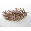 Generic Silver leaf shaped crystal hair barrette clip bridal clip bridal barrette (Primary color: Clear)