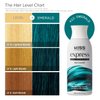 Kiss Express Semi-Permanent Hair Color 100mL (3.5 US fl.oz) (1 Count, Emerald)