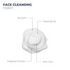 Zaroza Face Cleansing Foam Soothing & Hydrating Gentle Cleansing, Daily Cleaning of Sensitive and Normal Skins, 5 fl oz / 150ml