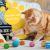 QUOZUO Kitten Toys, 60PCS Cat Balls Springs Toy Set, Sparkle Ball, Cat Mouse Toy, Cat Crinkle Balls, Cat Springs, Cat Ball Toy, Furry Cat Toys Balls Soft Pom Pom Balls