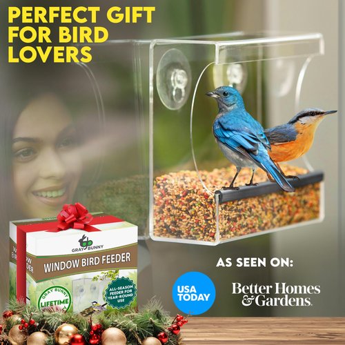 Gray Bunny Clear Window Bird Feeder - Window Bird Feeders for Outside, Window Bird Feeders for Viewing with Strong Suction Cup, Transparent Bird Feeder for Window, Bird House Gifts for Mom, Dad