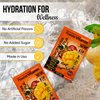 PowderVitamin Electrolytes Powder Plus, Keto, Mango Passionfruit, Sugar Free, Pink Himalayan Salt, 1000mg Potassium, 120mg Calcium, 120mg Magnesium, Non-GMO, Zero Calories, (16 Hydration Packets)