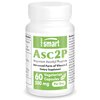 Supersmart - Asc2P High Potency Vitamin C 500mg per Day (Advanced Vitamin C Form) - Magnesium Ascorbyl Phosphate Supplement | Non-GMO & Gluten Free - 60 Vegetarian Capsules