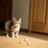 HaiPal Cat Toy Balls, 30Pcs Premium Soft Pom Pom Balls for Kittens, 1,2'' Funny Interactive Cat Pompom Toys for Bored Indoor Cats Playing Plush Balls for Craft DIY Decorations,Cute Kitten Kitty Toys.