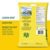 Ricola Sugar Free Lemon Mint Bag | Cough Suppressant Throat Drops | Naturally Soothing Long-Lasting Relief - 45 Count (Pack of 1)