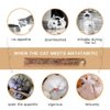 WoLover Cat Catnip Sticks Natural Matatabi Silvervine Sticks - Cleaning Teeth Molar Tools Kitten Cat Chew Toy Natural Catnip Cat Toy (10 PCS)