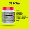 GHOST BCAA Powder Amino Acids Supplement, Kiwi Strawberry - 30 Servings - Sugar-Free Intra, Post & Pre Workout Amino Powder & Recovery Drink, 7G BCAA