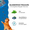 Shameless Pets Soft-Baked Dog Treats, Blueberried Treasure - Natural & Healthy Dog Chews with Mint for Immune Support - Dog Biscuits Baked & Made in USA, Free from Grain, Corn & Soy - 1-Pack