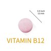 Lovita Vitamin B12 1000 mcg (B12 Vitamins as Cyanocobalamin), Timed Release B12, Vegan-Friendly, Supports Nervous System, 60 Vegetarian Tablets (2 Month Supply)