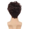 Tseses Brown Curly Men Wigs Afro Short Layered Synthetic Hair Fluffy Daily Cosplay Costume Wig