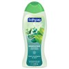 Softsoap Eucalyptus & Mint, Moisturizing Body Wash, 591 ml