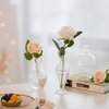 Glasseam Glass Small Bud Vases: Ribbed Clear Vase Set of 3 Modern Mini Vases for Centerpieces Flower Vase Decorative Vases for Flowers Handmade Cute Short Home Decor for Wedding Table Tiny Single Rose
