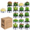 Cactus Tealight Candles(18 Pcs Gift Boxed), Artificial Succulents Decorative Tea Light Candles,Perfect for Birthday Wedding Party Home Decor