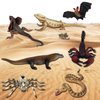 Gemini&Genius 7Pcs Reptile Animal Toys for Kids, Amphibians Desert Animal Toys with Komodo Dragon Lizard Snake Spider Chameleon, Cold Blooded Animal Figures Toy Set, Play and Display Gifts for Kids