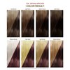 Adore Semi Permanent Hair Color - Vegan and Cruelty-Free Brown Hair Dye - 4 Fl Oz - 104 Sienna Brown (Pack of 1)