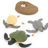 4 PCS Sea Turtle Ocean Marine Animal Growth Life Cycle Model Figure Classroom Accessories Party Supplies Cake Toppers Learning Cognitive Toys for Boys Girls Kid Toddlers