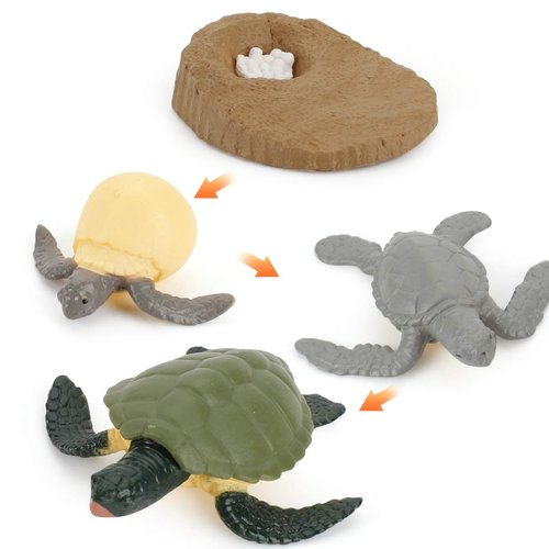 4 PCS Sea Turtle Ocean Marine Animal Growth Life Cycle Model Figure Classroom Accessories Party Supplies Cake Toppers Learning Cognitive Toys for Boys Girls Kid Toddlers