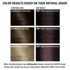 AGE beautiful Permanent Hair Color Dye Liqui Creme | 100% Gray Coverage | Anti-Aging Haircolor | Biotin for Thicker, Fuller Hair | Professional Salon Coloring | 5NV Medium Neutral Violet Brown