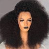 Skouty 24 Inch Kinkycurly Wig Human Hair 13x4 HD Lace Front Wigs 180 Density Glueless Wigs Human Hair Pre Plucked Brazilian Kinky Curly Wig Lace Frontal Wigs for Black Women Virgin Human Hair Wig
