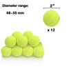 MEKAPLE 12 Pack Mini Tennis Balls for Pet Playing Fecth, 2 inch Dog Training Tennis Balls for Small Size Dogs, Interactive Dog Playing Balls Fits 2 inch Automatic Dog Ball Launcher