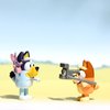 Bluey and Bingo Photographer 2 Figure Playset Pack Articulated 2.5 Inch Action Figures Includes Toy Bob Bilby Puppet and Camera Official Collectable Toy